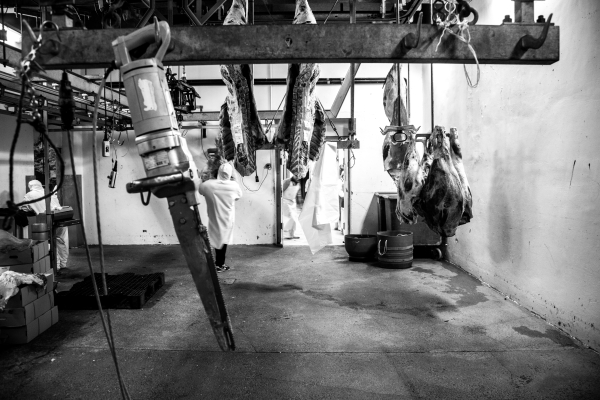 2014 02 19 Abattoir LuxeuilIMG 8685